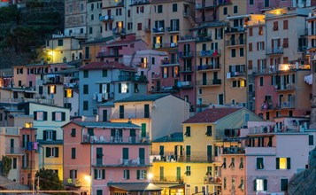 A picture of the colorful houses of Manarola (Cinque Terre).
