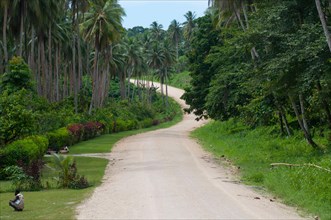 All quiet on the Boluminski Highway, built by German colonists before the First World War, on New Ireland, Papua New Guinea