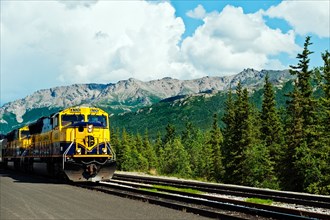 Alaska railroad train, Denali, Alaska, USA