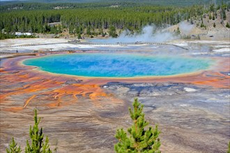 Grand Prismatic Spring (World's third Largest Thermal Pool), Yellowstone National Park, Wyoming, USA