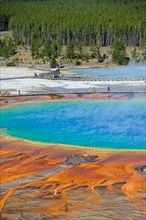 Grand Prismatic Spring (World's third Largest Thermal Pool), Yellowstone National Park, Wyoming, USA