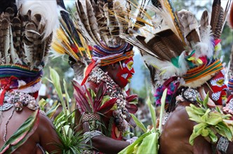Tribal People of Papua New Guinea at the Mount Hagen Cultural Show 2010