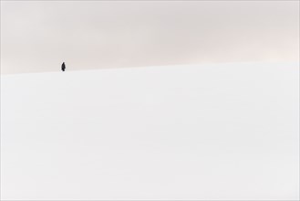 ANTARCTICA - A person hikes to the top of a small snow-covered hill in Hughes Bay on the western coast of the Antarctic Peninsula.