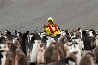 Antarctic tourism and penguins among the Antarctica landscape. Tourist taking picture with GoPro camera.