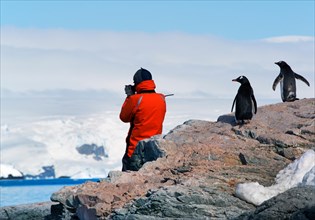 A person in an orange jacket photographing the scenery of the Antarctic Peninsula, observed by two gentoo penguins.