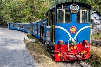 The Darjeeling Himalayan Railway (aka The Toy Train) Near Darjeeling, West Bengal, India