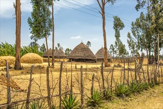 Traditional village houses near Addis Ababa, Ethiopia, Africa