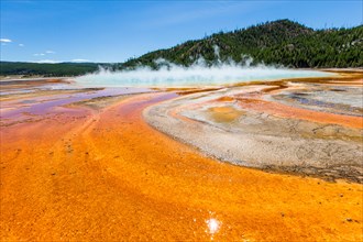 Grand Prismatic Spring; Midway Geyser Basin, Yellowstone National Park, Wyoming, USA