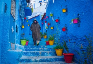 Chefchaouen flower pots, Morocco