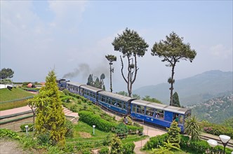 Steam Locomotive hauled Darjeeling Himalayan Railway at Batasia Loop, Darjeeling, Eastern Himalayas, West Bengal