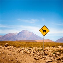 Llama road sign in Bolivia, Andes, South America