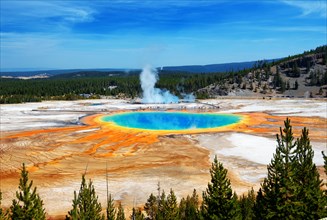 Famous trail of Grand Prismatic Springs in Yellowstone National Park from high angle view. Beautiful  hot springs with vivid color blue green orange i
