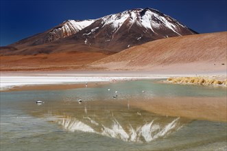 Bolivia - the most beautifull Andes in South America. The surreal landscape is nearly treeless, punctuated by gentle hills and volcanoes near Chilean