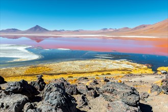 Landscape of the Laguna Colorada or Red Lagoon in the Uyuni Salt Flat region, Bolivia, South America. The red colors are due to algae and sediments.