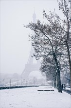 Eiffel tower in the snow