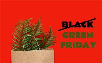 Slogan Black Green Friday. Concept of zero waste, ecology, overproduction and environmental issues. Paper bag with fern leaves.