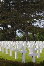 Christian crosses marking graves of fallen US soldiers, American Cemetery and Memorial, Colleville-sur-Mer, D-Day Beaches Area, Calvados, Normandy, France