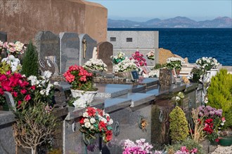 Cemetery with fresh flowers, St Tropez, France