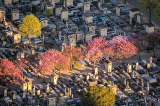 Aerial view of Montparnasse spring Cemetery in Paris, France
