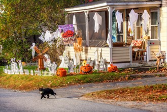 A home is decorated with ghosts, goblins and other Halloween decorations as a black cat crosses the road in Lisbon, NH, USA.