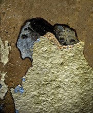 Human Face appears in cracked plaster on a wall Pareidolia is the tendency for incorrect perception of a stimulus as an object, pattern or meaning kno