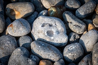 A high angle view of pebbles on a beach with one looking like a face with  a shocked look