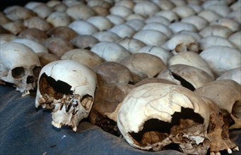 Skulls of victims of the Rwandan Genocide.