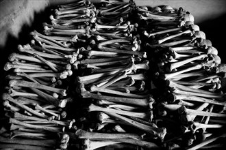 Leg bones on display at the Murambi Genocide Memorial in Rwanda.