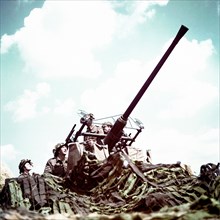 Operation, Overlord, Normandy, Canadian, soldiers, military, anti aircraft, gun, cannon, Bernières-sur-Mer, Invasion, D-Day, Wor