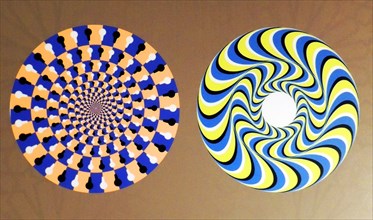 Rotating Snakes optical illusion. we perceive the brightly coloured circles of the image to be in circular motion. perhaps this is due to with microsaccades, or involuntary eye movements, that attempt...