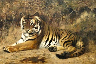 Jean-Léon Gérôme - Tiger