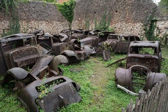 Cemetery of abandoned historic cars, there is a Peugeot 402 among many others