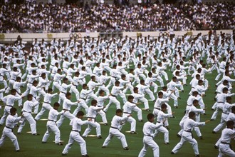 Opening Ceremonies at the1988 Olympic Summer Games, Seoul Korea.