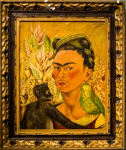 Frida Kahlo 'Self-portrait with monkey and parrot', 1942, MALBA, Museum of Latin American Art, Buenos Aires, Argentina