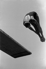 Sunmer Olympics 1936 - Germany, Third Reich - Olympic Games, Summer Olympics 1936 in Berlin. Women swimming competition at the swimming stadium  - platform diver - view of the jump. Image date August ...