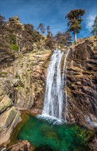 Radule waterfall in High Golo Valley of Corsica Island. Laricio pine trees of Valdo-Nielo forest are in top and natural pool with crystalline water in