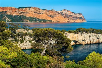 Amazing hiking place, beautiful viewpoint on the cliffs, Calanques de Port Pin bay with spectacular water bay, Calanques National Park near Cassis, Pr