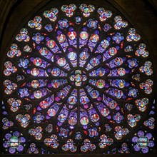 Rose stained glass window of Notre Dame Cathedral in Paris