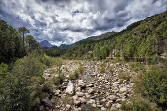 Riverbed in the Corse Mountains