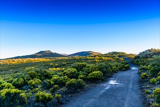 Hiking trail at volcanic area of Reunion Island