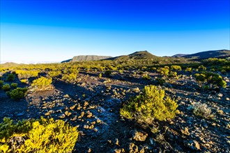 Hiking trail at volcanic area of Reunion Island