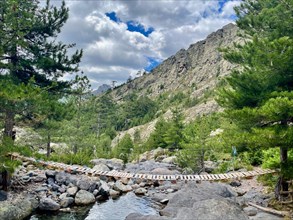 Wooden suspension bridge in Corsica's mountains close to Bergerie de Ballone, along the GR 20 trail. Corsica, France.