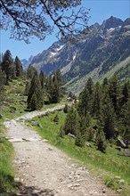 The French Pyrenees: walking the GR10 in the Vallee de Gaube