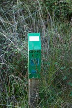 Hidden wooden sign of the GR10 trail of the central system near Caparra Extremadura