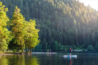 Lac de Longemer in the Vosges, Grand Est, France