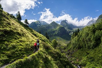 Hikers on the trail