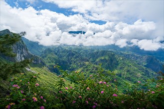 Landscape with Piton des Neiges mountain, La Reunion Island