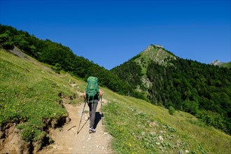 Bious Artigues, Ayous lakes tour, Pyrenees National Park, Pyrenees Atlantiques, France