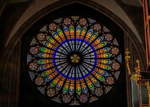 Strasbourg, France - June 3, 2023: Ornate stained glass rose window and organ in the beautiful Gothic cathedral of the Notre Dame, historic center