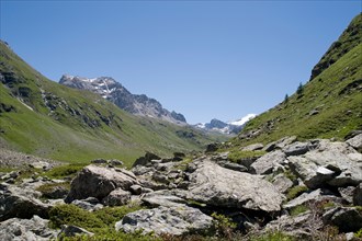 alpine valley plan de la plagne, vanoise, savoie france